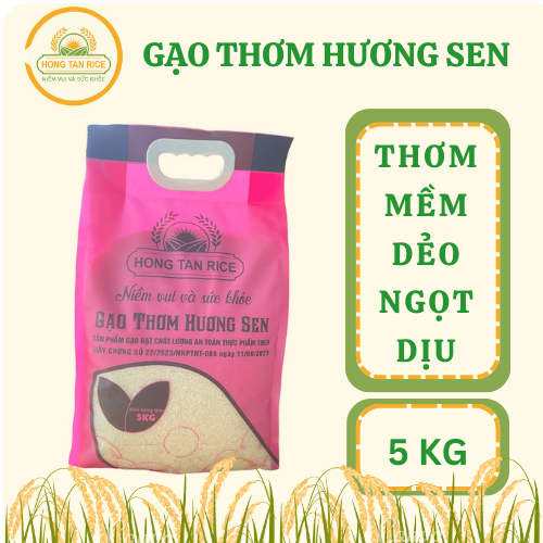 Ảnh 1